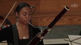 VivaldiBassoon Concerto in E minor RV 484 Marlene Ngalissamy Bassoon Carlos Bastidas conductor [upl. by Rickert771]