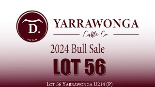 Lot 56 Yarrawonga U214 P [upl. by Eniar]