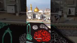 Tor Kar Band Qafan Mujh Ko Bula Lo Amma Mir Hassan Mir  Black Banners At Karbala ayyamefatimiya [upl. by Sammy]