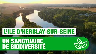 L’Ile d’HerblaysurSeine un sanctuaire de biodiversité [upl. by Fabrianna]