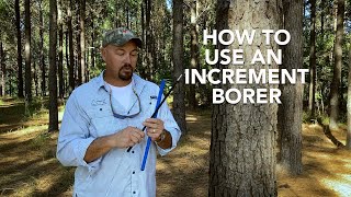 How to use a Haglöf Tree Increment Borer [upl. by Newell367]