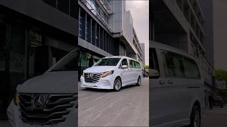 Mercedesbenz Vito Vip Luxury style [upl. by Slyke952]