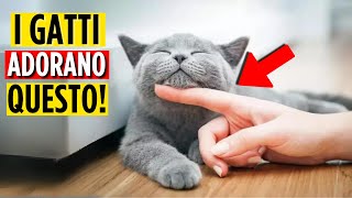 7 segni che il tuo gatto pensa di essere tuo figlio [upl. by Ardnuhs]