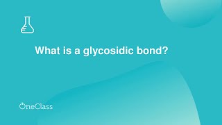 What is a glycosidic bond [upl. by Vinna731]