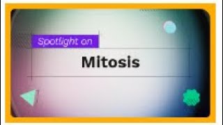 Edpuzzle Originals  Mitosis [upl. by Helen]