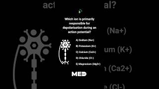 🧠Neurophysiology Time Test your preclinical knowledge with us daily Make sure to Subcribe [upl. by Pontias]