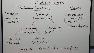 Sustantivos  Clasificación semántica y morfológica  Clases de Lengua [upl. by Seiuqram]