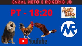 RESULTADO AO VIVO ROGERIO E NETO JB  PTN  11112024 [upl. by Othilie800]