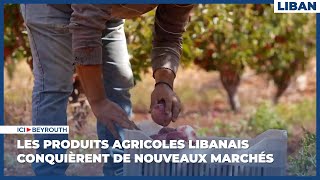 Les produits agricoles libanais conquièrent de nouveaux marchés [upl. by Ari176]