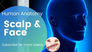 Human Anatomy  Head amp Neck  Nerve supply of the scalp and face [upl. by Corrie]