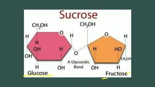 Oligosaccharides  Carbohydrates  Biochemistry [upl. by Acimad532]