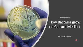 The Science behind How do Bacteria grow on Culture Media  Bacterial colony Formation  Basics [upl. by Regazzi]