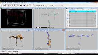 Tutorial Visual Topo  05  Imprimir y Exportar [upl. by Ellerihs482]