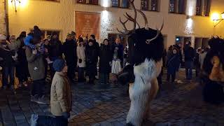 Klausentreiben in Immenstadt Frecher Junge muss Weihnachtslied singen 🎄 [upl. by Erreip677]