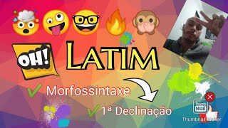 Facilitando na Língua Latina  Introdução à morfossintaxe latina👀 Entendendo a Primeira Declinação [upl. by Auohp877]