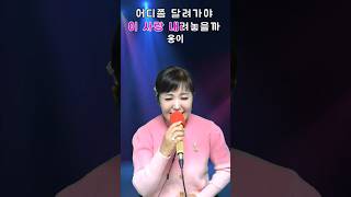 옹이 조항조 노래방 전화노래자랑 노래자랑 kpop 노래방애창곡 쇼츠 트로트 [upl. by Calista730]