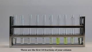 BCH2333 Lab1 Experiment 34 Glucose oxidase and iodine assays [upl. by Notlef]