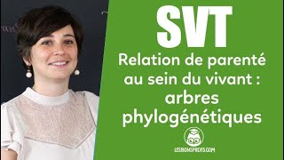 Relations de parenté au sein du vivant  arbres phylogénétiques 4  SVT  Les Bons Profs [upl. by Kathryne]