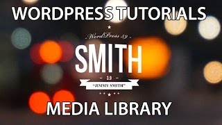 WordPress Tutorial Media Library [upl. by Jac354]