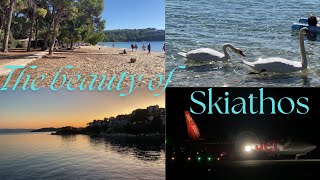 Skiathos Walkaround in October  KouKounaries beach  night plane spotting and more [upl. by Brechtel709]