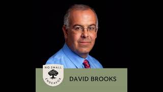 141 David Brooks Can We Save Society By Knowing Each Other [upl. by Deaner]