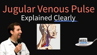 Jugular Venous Pulse JVP Explained Clearly  Evaluation Waveforms Interpretation [upl. by Leaffar]