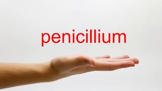 How to Pronounce penicillium  American English [upl. by Ayvid]