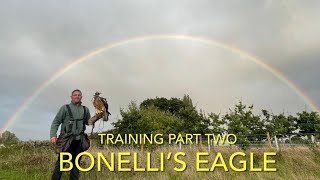 FALCONRY BONELLI’S EAGLES amp Gyr falcon training part two [upl. by Ogawa]