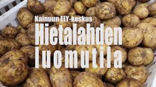 Hietalahden luomutila Kainuussa [upl. by Sheply862]