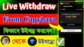 Capybara withdraw  how to withdraw capybara meme bot  capybara bot withdraw system [upl. by Cassie233]