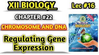 Regulating Gene Expression lec 16 Gene Regulation class 12 [upl. by Aicirtac]