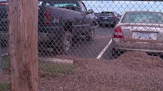 Mayfly invasion in Northeast Ohio [upl. by Amend]