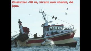 CHALUTIER EN PECHE 50 VIRANT SON CHALUT [upl. by Gilly]