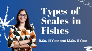 Types of scales in Fishes l BSclll Year and MSc ll Year l Dr Ranjana Gupta l [upl. by Ahsieat94]