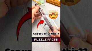 How to solve Churchills cigar puzzle  Puzzle Facts  Hand craft ideas puzzle shorts [upl. by Aranahs906]