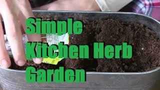 Planting a Simple Windowsill Herb Garden [upl. by Mingche]