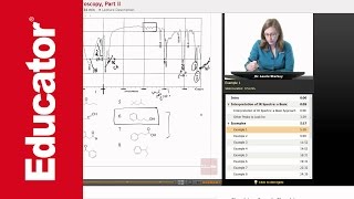 Infrared IR Spectroscopy Examples  Organic Chemistry [upl. by Emixam357]