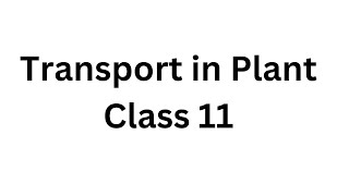 Transport System in Plants Class 11 NCERT NEET Biology [upl. by Cul]