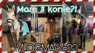 VLOGMAS 22  MAM 3 KONIE  PREZENTY DLA RODZINY [upl. by Eilyr]