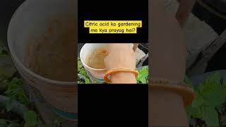 Uses of citric acid in gardening [upl. by Tamarah123]