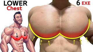 Get a Lower Chest with These Best Exercises [upl. by Ayrb]