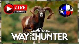 🚨MP Tex LIVE🚨Way of the Hunter [upl. by Yaron]