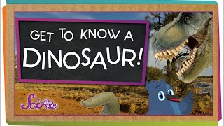 Get to Know a Dinosaur [upl. by Nnyleve]