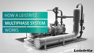 Multiphase System by Leistritz  How does it work [upl. by Dur140]