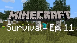 Minecraft Survival  Ep 11 Tree Farm [upl. by Ereveneug]