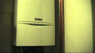 New Vaillant Ecotec plus boiler producing loud clicking noise [upl. by Carothers922]