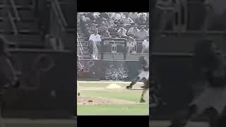 Randy Johnson KILLS Dove With Pitch shorts [upl. by Nonnerb]