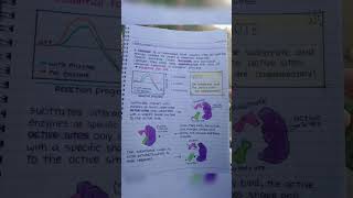 Enzymes class 11 biology [upl. by Tat516]