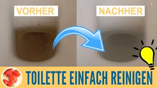 Toilette reinigen Urinstein Toilettenränder amp Kalkflecken beseitigen mit selber gemachten WCTabs [upl. by Farmelo498]