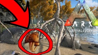 🎮 How to get RARE MUSHROOMS  ARK Survival Evolved [upl. by Ainsley]